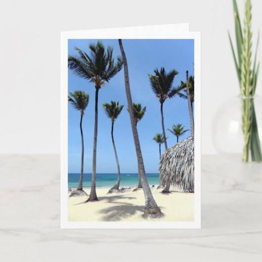 Palmbomen, Dominicaanse Republiek, Landschap Kaart (Voorkant)