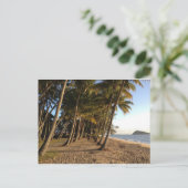 Palmbomen en briefkaart (Staand voorkant)