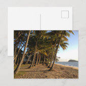Palmbomen en briefkaart (Voorkant / Achterkant)