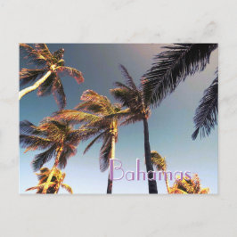 Palmbomen en  effect briefkaart