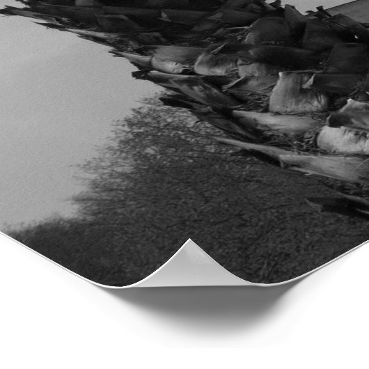 Palmbomen en Obelisk, Boulogne-sur-Mer, Frankrijk Poster (Hoek)