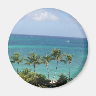 Palmbomen en oceaanmagneet magneet