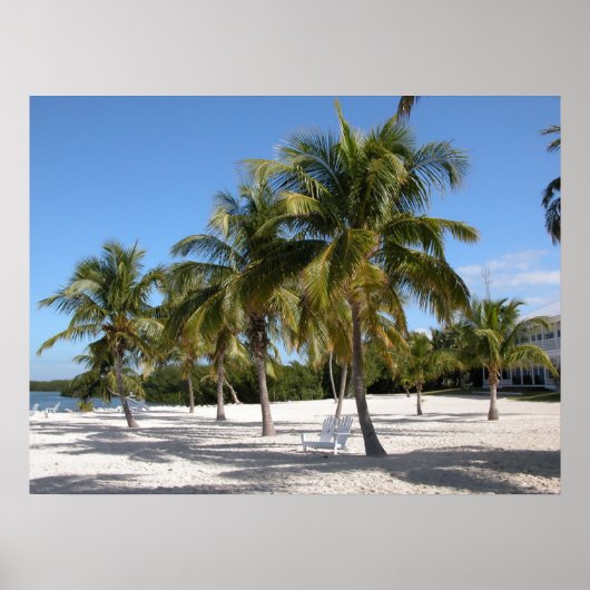 Palmbomen en perforatie poster (Voorkant)