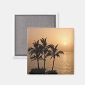 Palmbomen en Romantische zonnebank Magneet (Voorkant / Achterkant)
