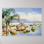 Palmbomen en rotsblokken, Baai van Rio, Poster (Voorkant)