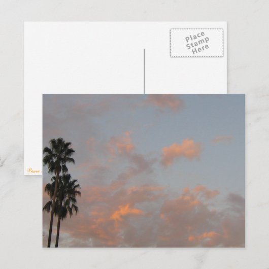 Palmbomen en roze wolken Briefkaart voor blinde ku (Voorkant / Achterkant)