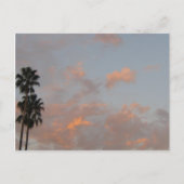 Palmbomen en roze wolken Briefkaart voor blinde ku (Voorkant)