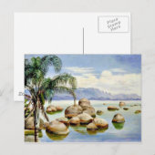 Palmbomen en -vijvers in de baai van Rio, Brazilië Briefkaart (Voorkant / Achterkant)