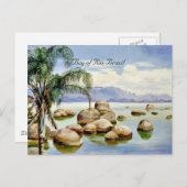 Palmbomen en -vijvers in de baai van Rio, Brazilië Briefkaart (Voorkant / Achterkant)