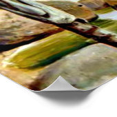 Palmbomen en -vijvers in de baai van Rio, Brazilië Poster (Hoek)