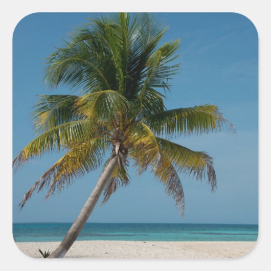 Palmbomen en wit zand strand vierkante sticker (Voorkant)