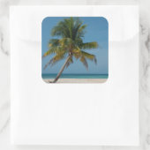 Palmbomen en wit zand strand vierkante sticker (Tas)