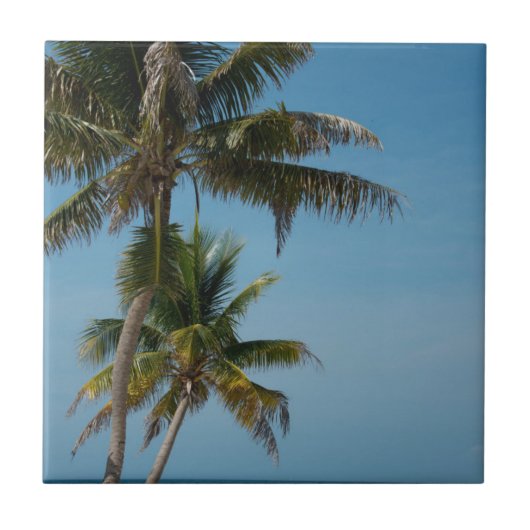 Palmbomen en wit zandstrand tegeltje (Voorkant)
