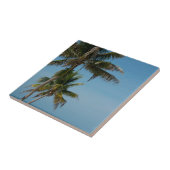 Palmbomen en wit zandstrand tegeltje (Zijkant)