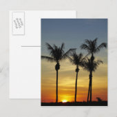 Palmbomen en zonsondergang, Mindil Beach Briefkaart (Voorkant / Achterkant)