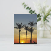 Palmbomen en zonsondergang, Mindil Beach Briefkaart (Staand voorkant)
