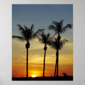 Palmbomen en zonsondergang, Mindil Beach Poster (Voorkant)