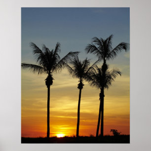 Palmbomen en zonsondergang, Mindil Beach Poster