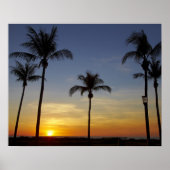 Palmbomen en zonsondergang, Mindil Beach Poster (Voorkant)