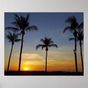Palmbomen en zonsondergang, Mindil Beach Poster