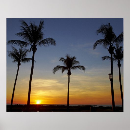 Palmbomen en zonsondergang, Mindil Beach Poster (Voorkant)