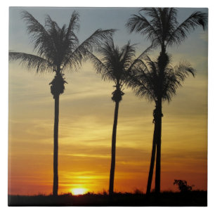Palmbomen en zonsondergang, Mindil Beach Tegeltje