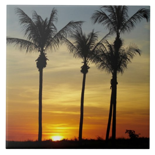 Palmbomen en zonsondergang, Mindil Beach Tegeltje (Voorkant)