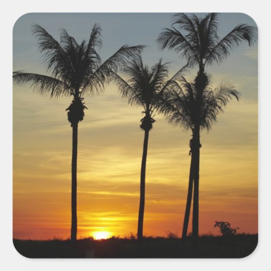 Palmbomen en zonsondergang, Mindil Beach Vierkante Sticker (Voorkant)