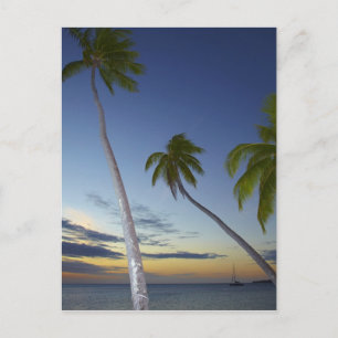 Palmbomen en zonsondergang, Plantation Island Reso Briefkaart
