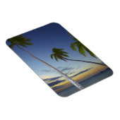 Palmbomen en zonsondergang, Plantation Island Reso Magneet (Rechterzijde)