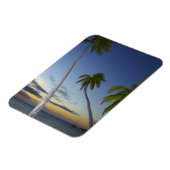 Palmbomen en zonsondergang, Plantation Island Reso Magneet (Linkerzijde)