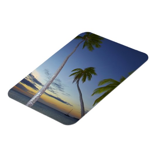 Palmbomen en zonsondergang, Plantation Island Reso Magneet (Linkerzijde)