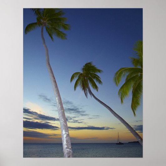 Palmbomen en zonsondergang, Plantation Island Reso Poster (Voorkant)