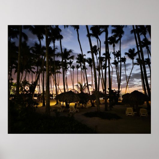 Palmbomen en zonsondergang poster (Voorkant)