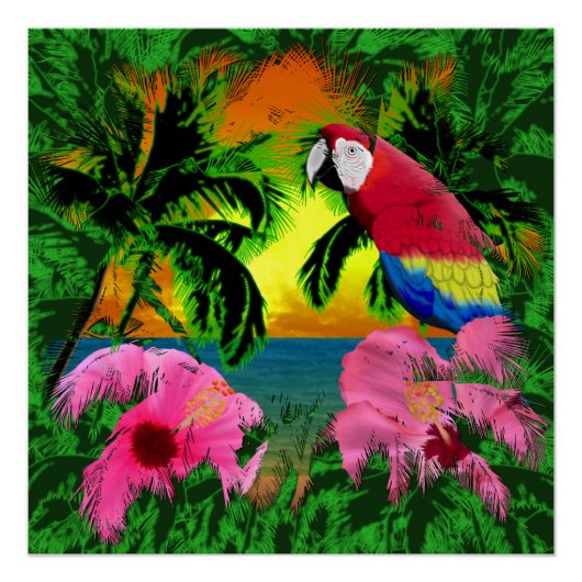 Palmbomen en Zonsondergangen Poster (Voorkant)