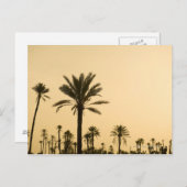 Palmbomen in de schemering, Marokko Briefkaart (Voorkant / Achterkant)