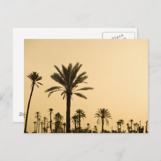 Palmbomen in de schemering, Marokko Briefkaart (Voorkant / Achterkant)