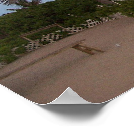 Palmbomen in het Paradijs Poster (Hoek)