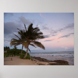 Palmbomen in het Paradijs Poster