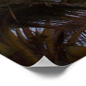 Palmbomen in het Paradijs Poster (Hoek)