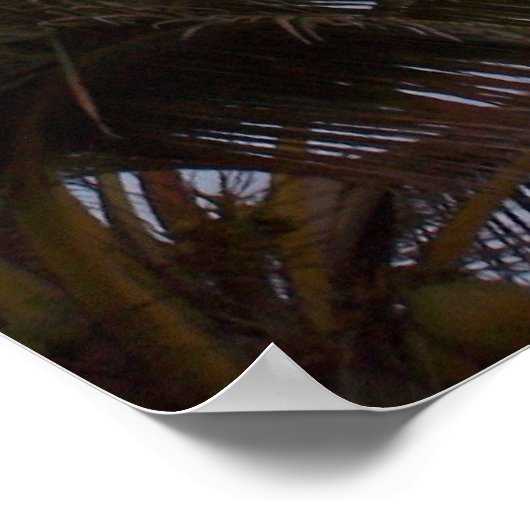 Palmbomen in het Paradijs Poster (Hoek)