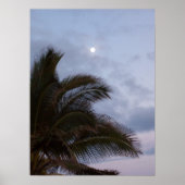 Palmbomen in het Paradijs Poster (Voorkant)