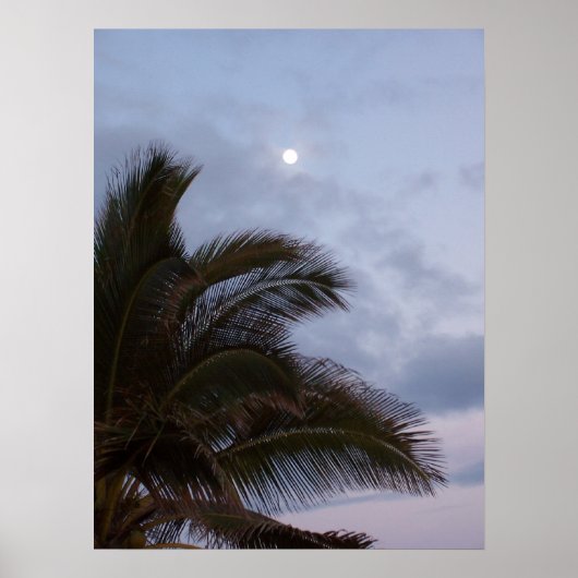 Palmbomen in het Paradijs Poster (Voorkant)