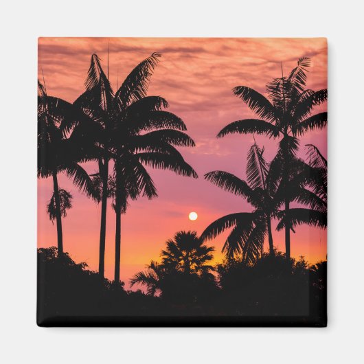 Palmbomen in silhouet, Hawaï Magneet (Voorkant)