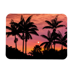Palmbomen in silhouet, Hawaï Magneet