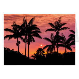 Palmbomen in silhouet, Hawaii