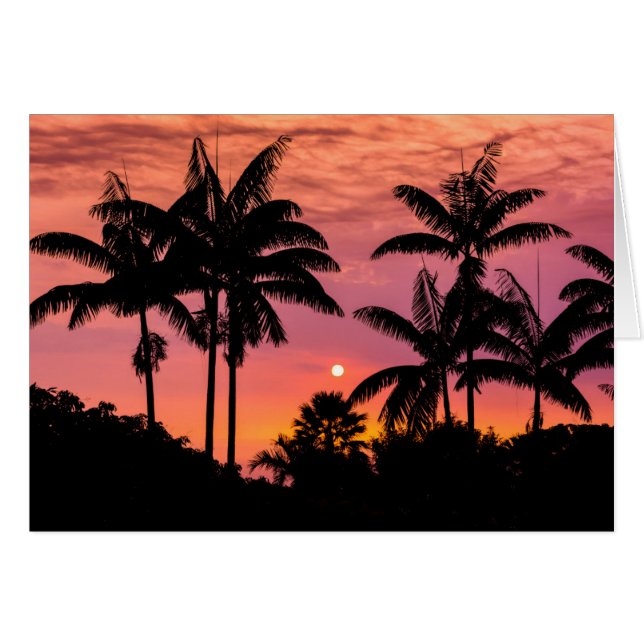 Palmbomen in silhouet, Hawaii (Voorkant Horizontaal)