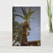 Palmbomen 🌴 kaart (Achterkant)