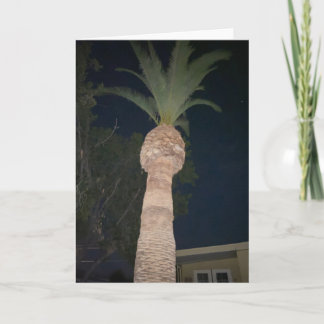 Palmbomen 🌴 kaart