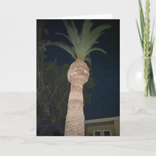 Palmbomen 🌴 kaart (Voorkant)